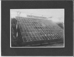 Kauffman and Arnold apple display at Sonoma County Fair, 1920s