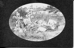 Gravesite of Nelson Drago in 1903 at Sebastopol Memorial Lawn