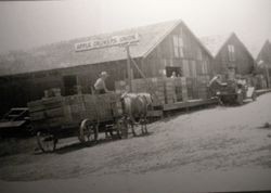 Loading dock of the Sebastopol Apple Growers Union packinghouse in Sebastopol