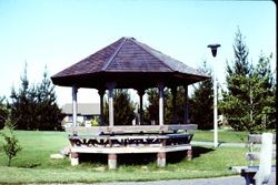 Construction of the gazebo at Brookhaven Park in Sebastopol, summer 1976