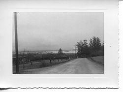 1951 flood in the Laguna de Santa Rosa area of Sebastopol from Cherry Ridge Road