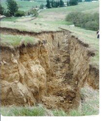 View of the damage caused by a landslide at 2540 Blucher Valley Road, south of Sebastopol, California, April 1983
