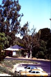 Burbank Cottage at Gold Ridge Farm prior to restoration