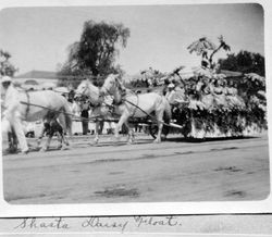 Shasta Daisy float pulled by white horses in the Santa Rosa Rose Carnival Parade, May 1910