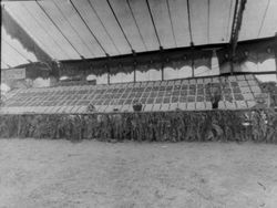 Gravenstein Apple Show display by Garbro Orchards, about 1930