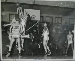 Analy High School Tigers basketball 1949--Analy vs Napa