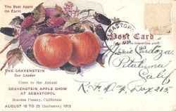 1913 Gravenstein Apple Show advertisement postcard, postmarked Sebastopol and with a 1 cent stamp and handwritten message on verso
