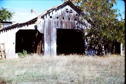 Old barn in St. Helena, California, 1977