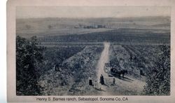 Henry S. Barnes ranch in Sebastopol, about 1892