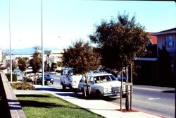 View east on the 7100 block of Bodega Avenue, Sebastopol, California, January, 1980