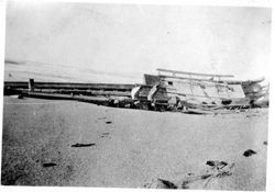 Bodega Bay North Beach wreckage of the Newberg that occurred October 8, 1918