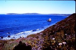 Pacific Ocean near Bodega Bay, 1991