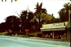 200 block of North Main Street Sebastopol between Wilton and Keating Avenues, 1983