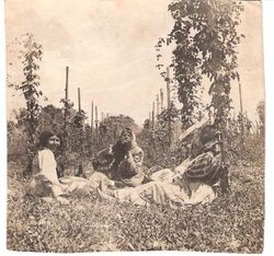 Native American Pomo women resting in hop field