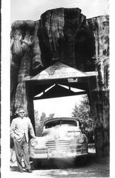 George Streckfus in Arlington, Washington, 1948, standing next to a car that is in a cut out section of a huge tree