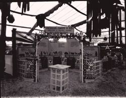 Gravenstein Apple Show display, 1930s of Frizelle, Eales & Co. poultry and feed store in Cotati--Hessel and Sebastopol