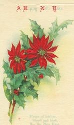 New Year's message with poinsettia design