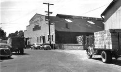 Sebastopol Apple Growers Union building with cars and a loaded trucks, filled with boxes of apples, 1940s