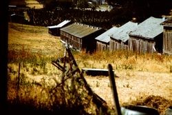 O'Farrell Ranch in Freestone, August 1979