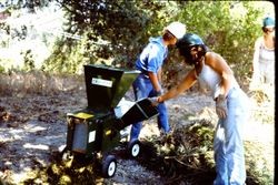 Volunteers cleaning up the Gold Ridge Farm and chipping trimmings