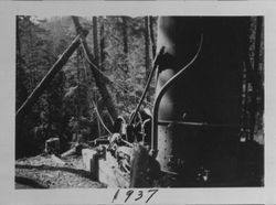 Bill Arnold's Dolbeer steam donkey used for logging, Occidental, 1937