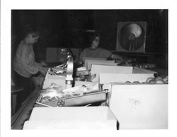 SAGU (Sebastopol Apple Growers Union) packing plant with workers bagging apples, late 1970s