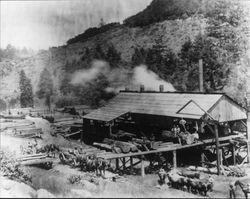 Sturgeon's Mill near Coleman Valley in Occidental, June 1914