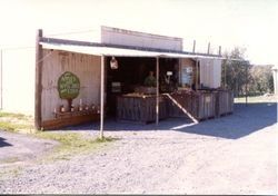 Marcia Hallberg with boxes of apples at the entrance to the Hallberg Apple Farm roadside stand, 1982