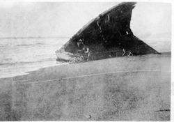 Bodega Bay North Beach wreckage of the Newberg that occurred October 8, 1918
