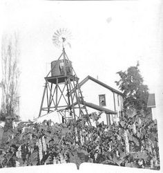 Todd District Ranch, Morris Whitham and Melvin on tank tower, 1920s