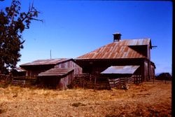 Stone Ranch in Occidental, California, 1980