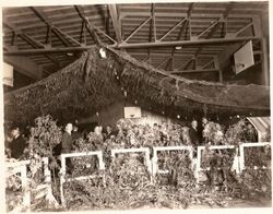 Unidentified high school celebration in a gymnasium--possibly Analy Union High School