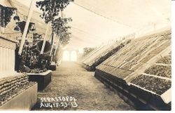 1913 Gravenstein Apple Show exhibits with boxes of apples stacked on the right and other exhibits on the left