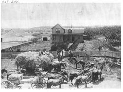 Owen E. McChristian on load of hay with Cecil and Pearl McChristian and others by his family's home Mill Station Road at Ferguson Road