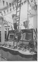 1911 Gravenstein Apple Show display of a boy climbing a ladder made of apples