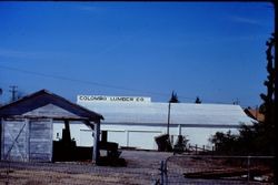 Rear of Columbo Lumber Company on South Main Street at Palm Avenue and Petaluma Avenue in Sebastopol, California, April 1978