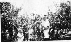 Ludford W. Elvy in front of a crop of corn with his daughters Wilma, Harriet and Phillis