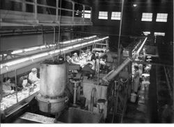 Overhead view of the apple production line at Manzana Products in Graton