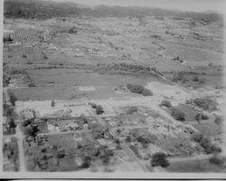 1950 aerial view of O. A. Hallberg & Sons processing plant and Cold Storage building in Graton looking west