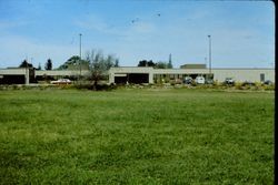 Pasture off Palm Avenue next to Palm Drive Hospital