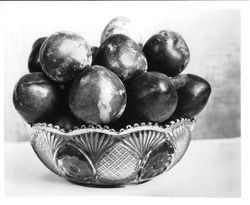 Glass bowl with Burbank K-22 "Elephant Heart" plum, August 1929