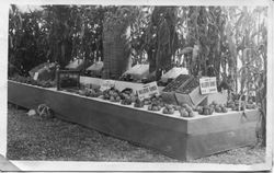 Santa Rosa District Fair, 1915--Oscar A. Hallberg & Sons display