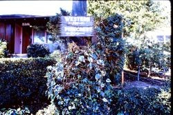 Direction signs on telephone pole for the 700 blocks of Western Avenue and Pinecrest Avenue, September, 1970