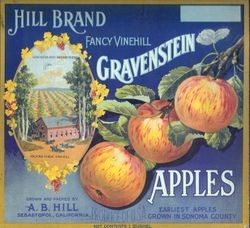 Hill Brand Gravenstein Apple box label