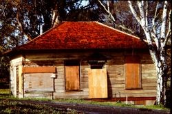 Luther Burbank Gold Ridge Experiment Farm Cottage prior to restoration, December 1983