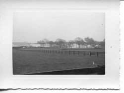 1951 floodwaters cover the Laguna de Santa Rosa channel and pasturelands near Sebastopol