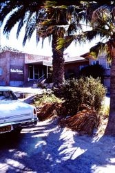 Palm Drive Hospital, 1970