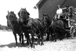 Two men on a four-horse drawn wagon full of apple boxes on the Garbro Orchard, 1910s