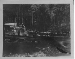 Frank Craig and his four-horse team hauling logs from the Donati, Gonnella and Sturgeon Sawmill, located at Green Hill Road, Occidental, 1925