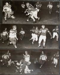 Analy High School Tigers football team of fall 1950--the Analy Tigers vs Vallejo on Friday, October 20th, 1950